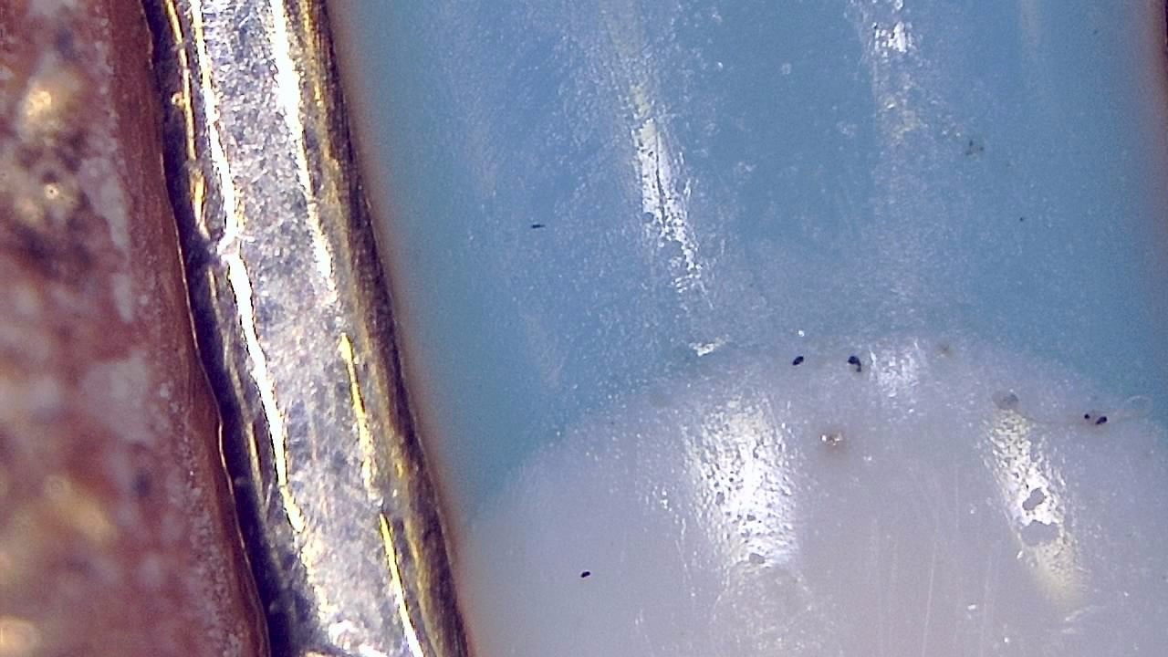 Close-up jewelry microscope image showing a setting edge and surface detail